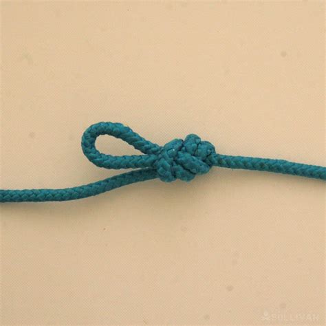 figure of 8 knot